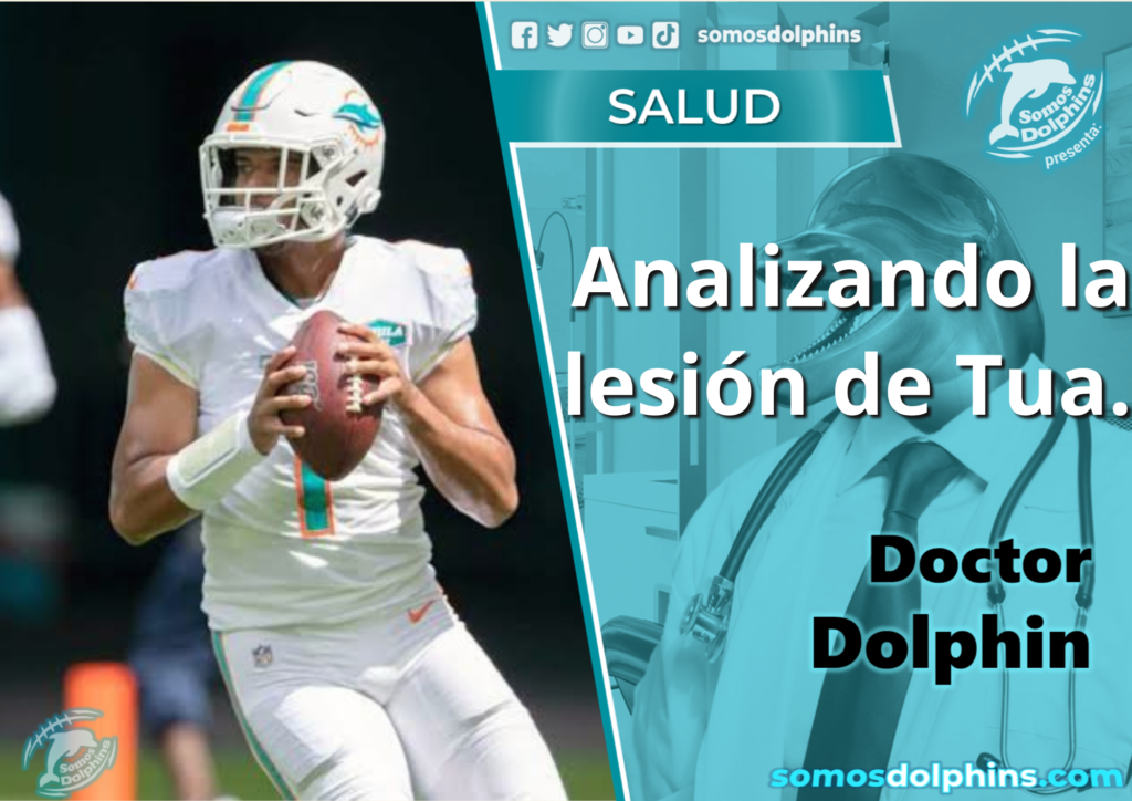 Tua Se Encuentra En El Protocolo De Conmoci N Somos Dolphins