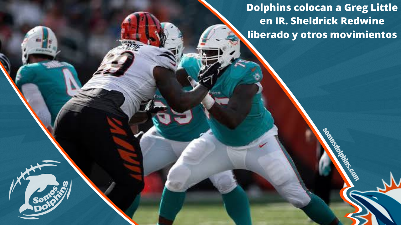 Dolphins colocan a Greg Little en IR. Sheldrick Redwine liberado y otros  movimientos. - Somos Dolphins