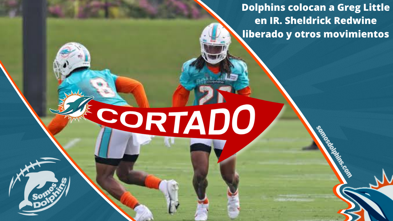 Dolphins colocan a Greg Little en IR. Sheldrick Redwine liberado y otros  movimientos. - Somos Dolphins