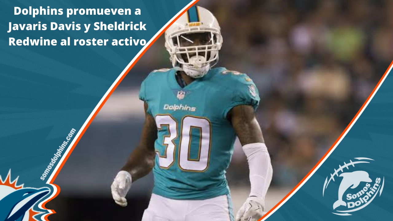 Dolphins colocan a Greg Little en IR. Sheldrick Redwine liberado y otros  movimientos. - Somos Dolphins