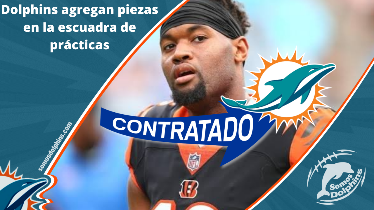 Reporte de Práctica 16 de los Miami Dolphins, noticias y