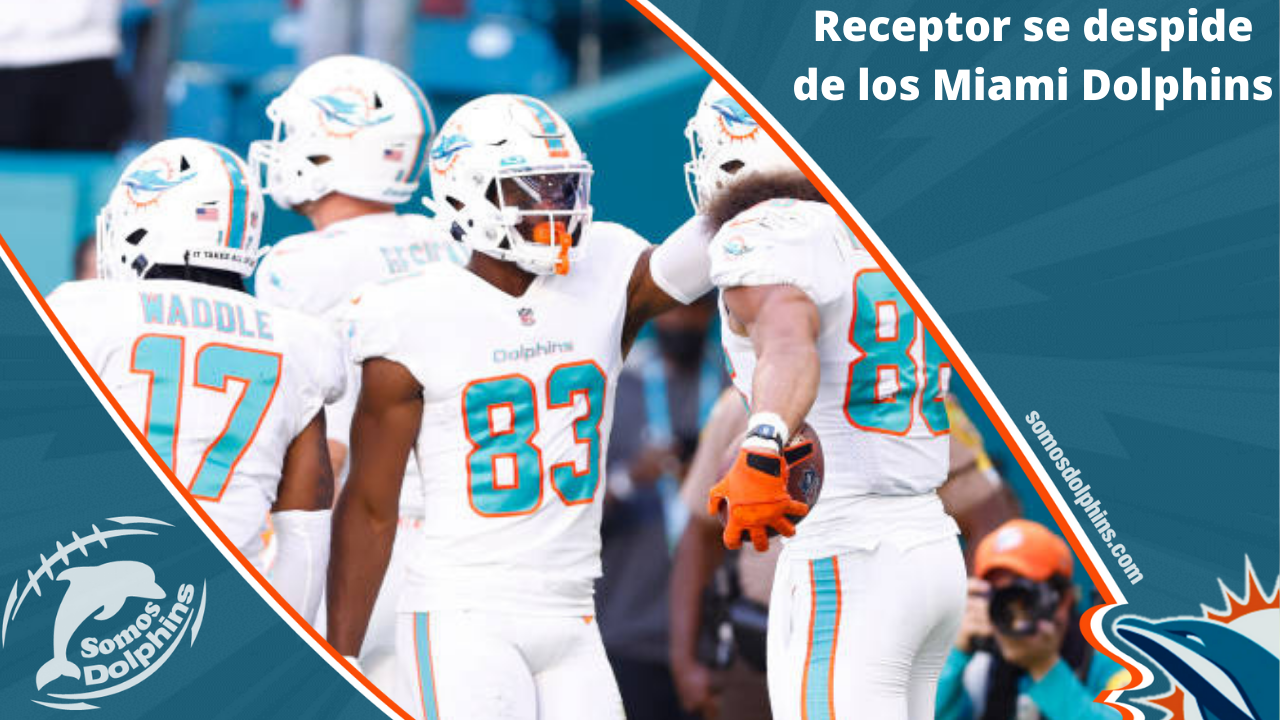 Miami Dolphins sign running back Gerrid Doaks and defensive back Quincy  Wilson to reserve/futures contracts - The Phinsider