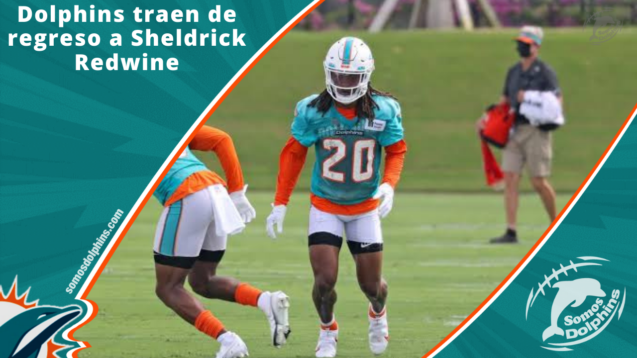 Dolphins colocan a Greg Little en IR. Sheldrick Redwine liberado y otros  movimientos. - Somos Dolphins