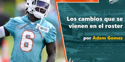 Dolphins firman al punter Sterling Hofrichter. - Somos Dolphins