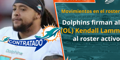 Tennessee Titans - Somos Dolphins