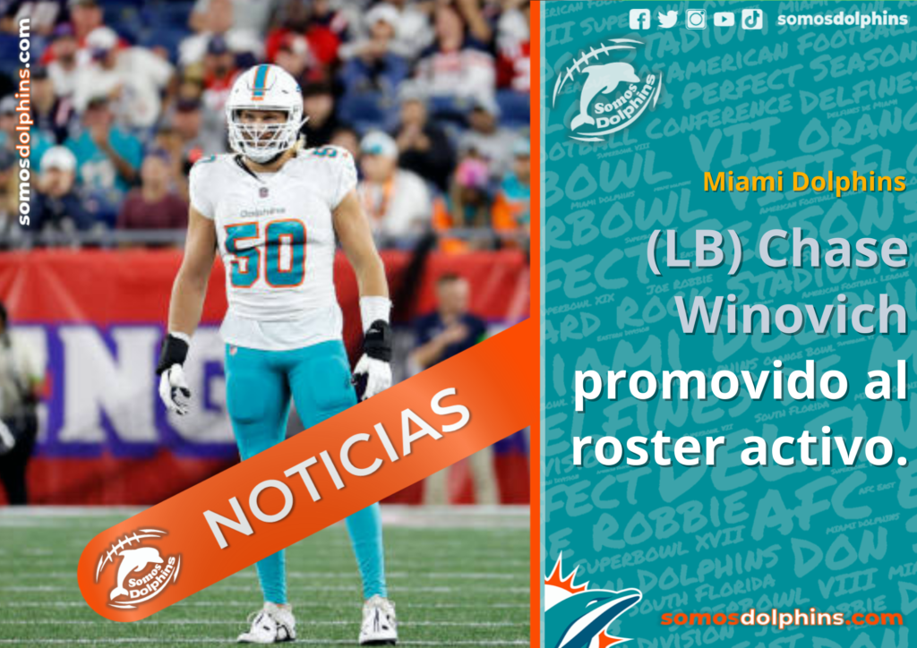 Dolphins de Miami creen poder lucir sin hacer cambios